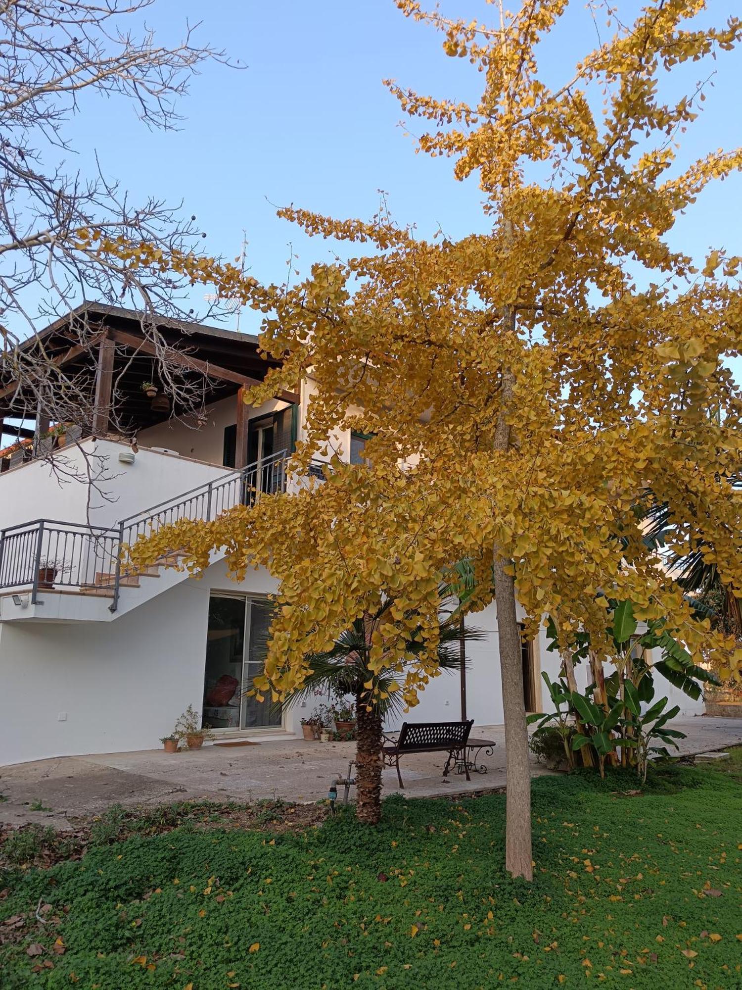 Villa La Casa Del Noce Ruffano Esterno foto